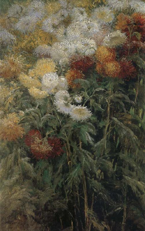 Gustave Caillebotte The chrysanthemum in the garden Germany oil painting art